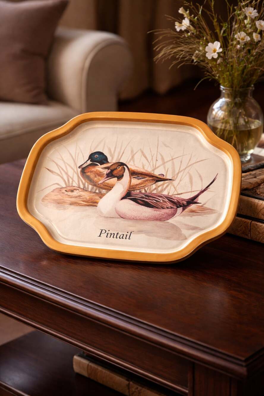 Vintage Metal Pintail Duck Decorative Serving Tray